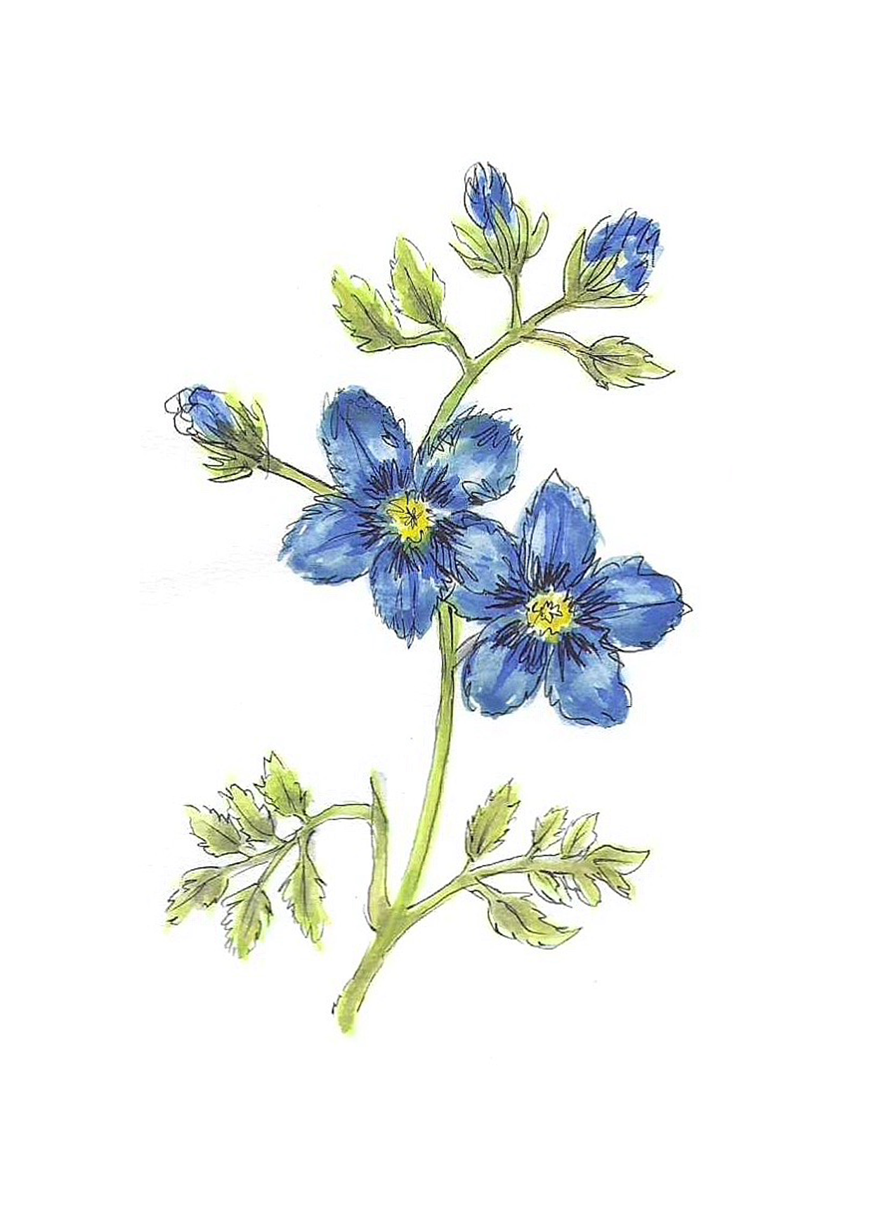 Blaue Blumen Karte
